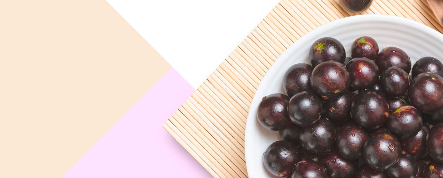 A NUTRI EM SUA CASA - Jabuticaba - Aproveitamento Integral