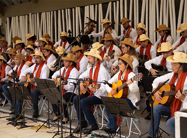 Vagas abertas para a Orquestra de Violes: venha fazer parte deste projeto musical